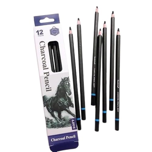 Professional Charcoal Pencils Drawing Set - 12