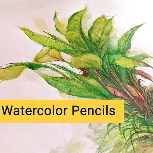 BRUSTRO Artists Watercolour Pencil |Set of 24 (in Elegant tin Box)