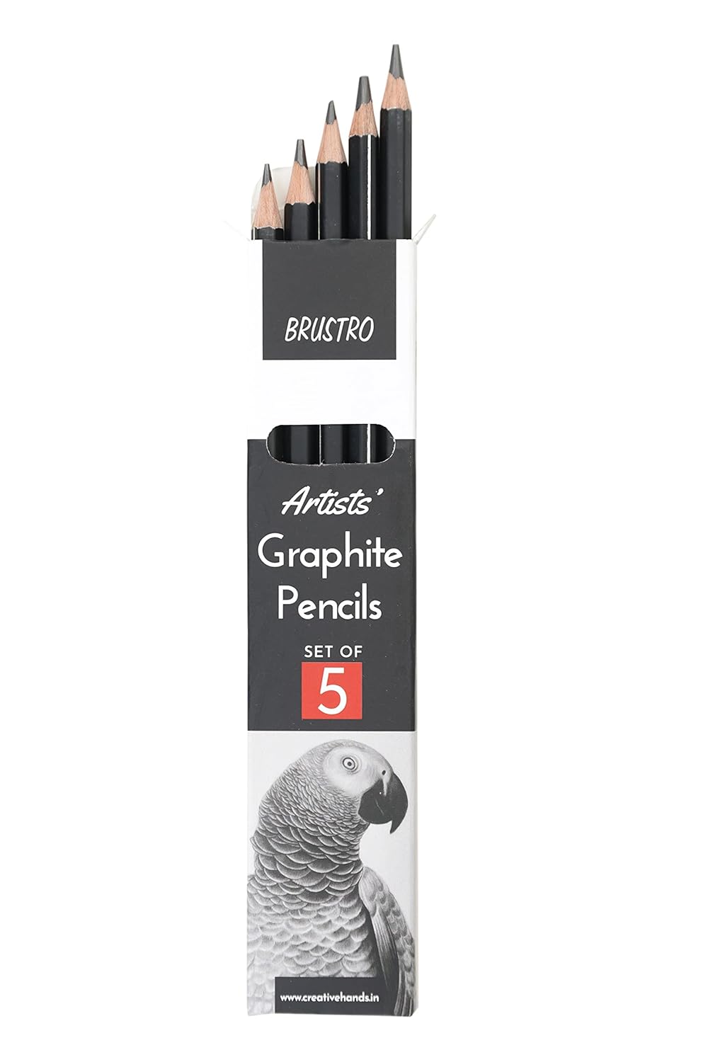 BRUSTRO Artist's Graphite Pencil set | Set of 5 (2B, 4B, 6B, 8B, 10B) |
