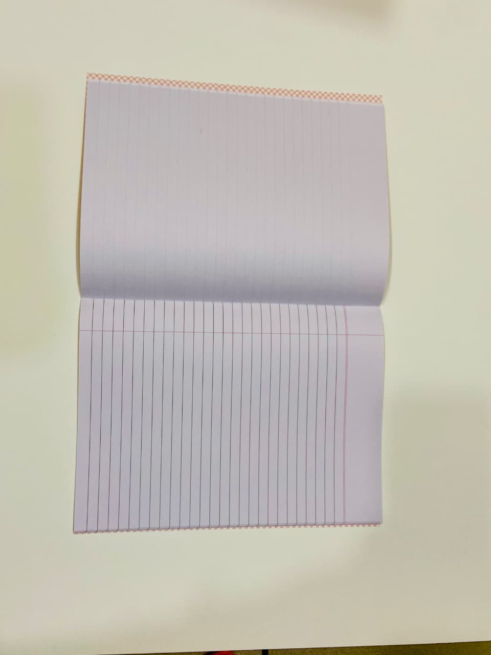 XAV- Double Line Hard Bound Interleaf Notebook