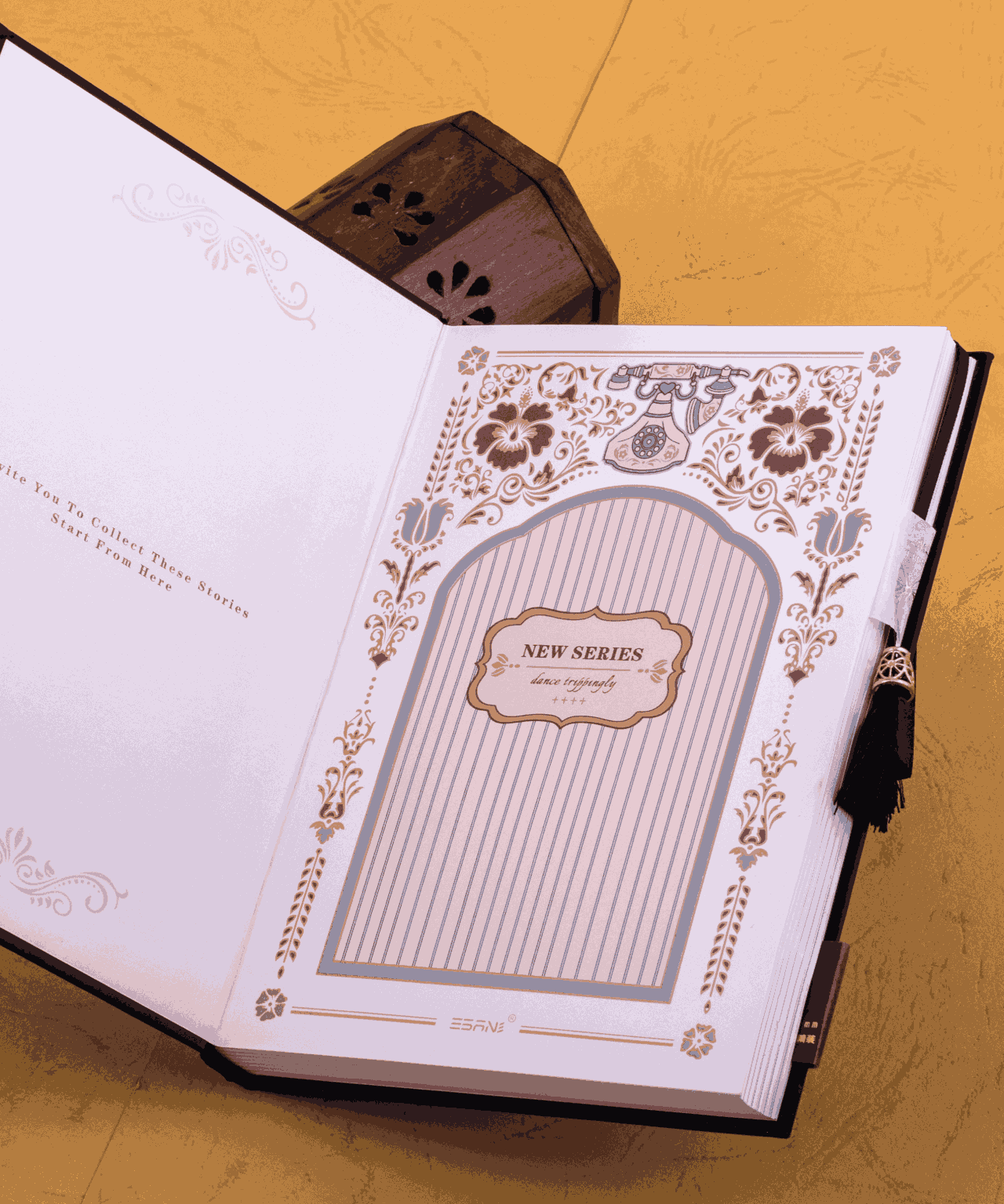 Fancy Diary