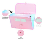 Worldone Expanding File Folder with Handle & Lock 13 Indexed Pocket for Documents Sorting Durable Long Lasting