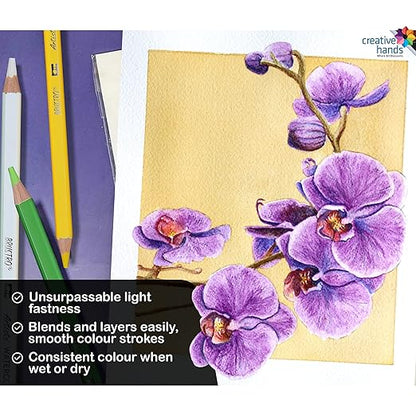 BRUSTRO Artists Watercolour Pencil |Set of 24 (in Elegant tin Box)