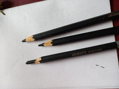 Apsara Charcoal Pencil