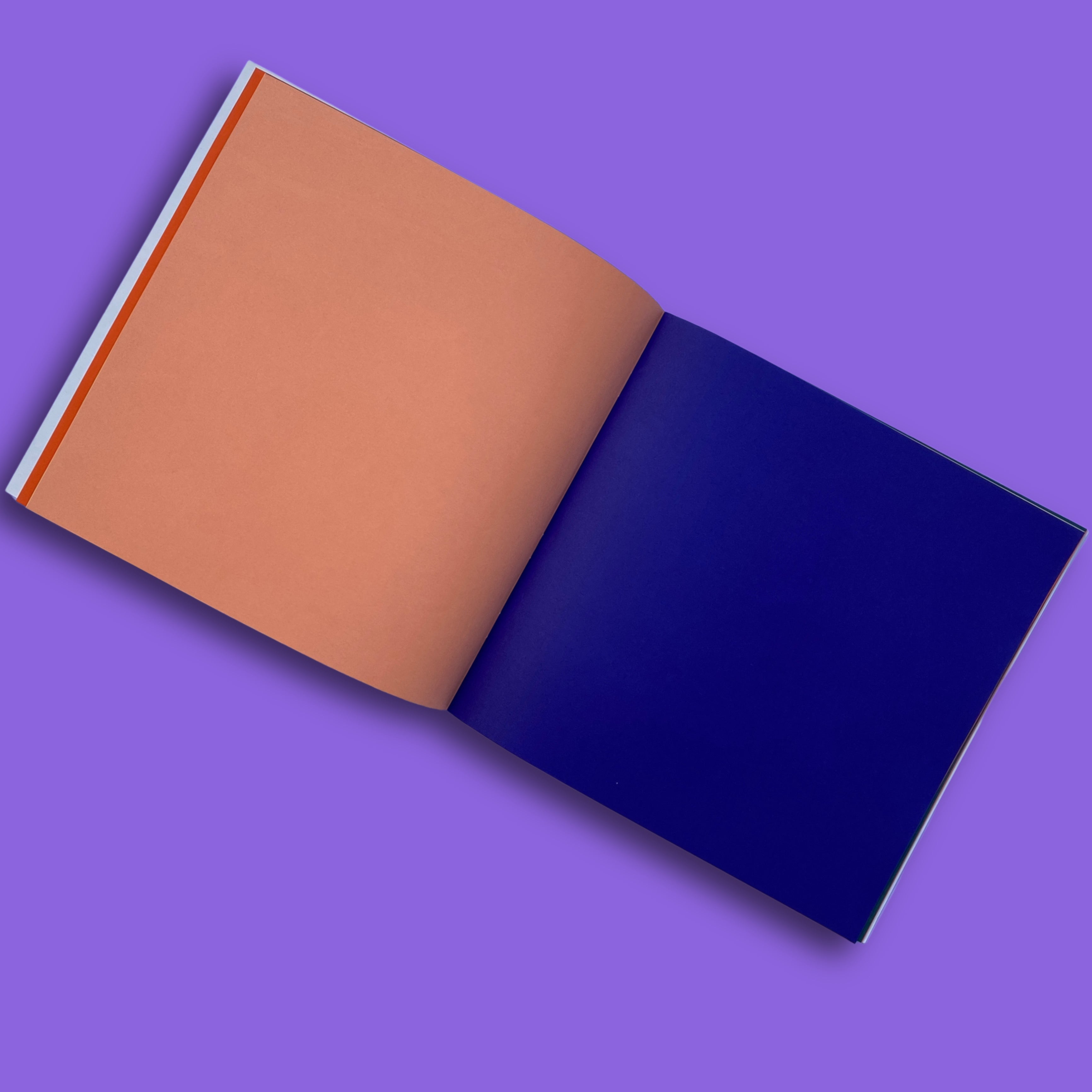 NR- Scrap Book Premium Size