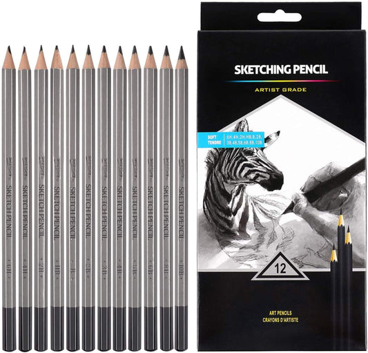 Worison Degree Pencils for Sketching Shading 12 Pencils