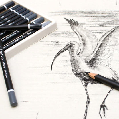 Mont Marte Charcoal Pencils 12pce