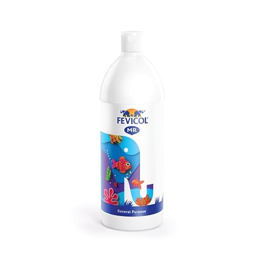 Fevicol MR 1kg Craft Glue
