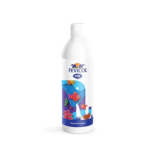 Fevicol MR 500g Craft Glue