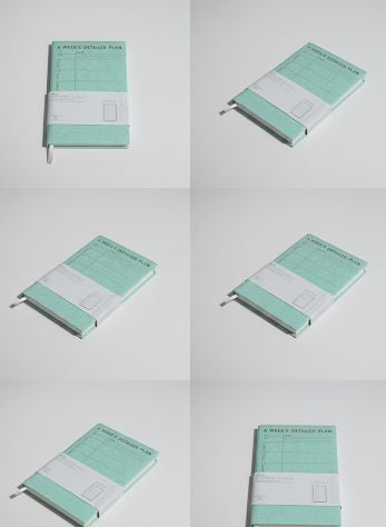Weekly Detailed Planner Style Diaries