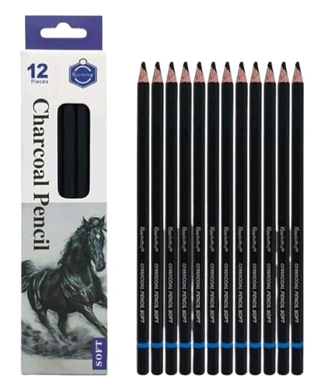Professional Charcoal Pencils Drawing Set - 12