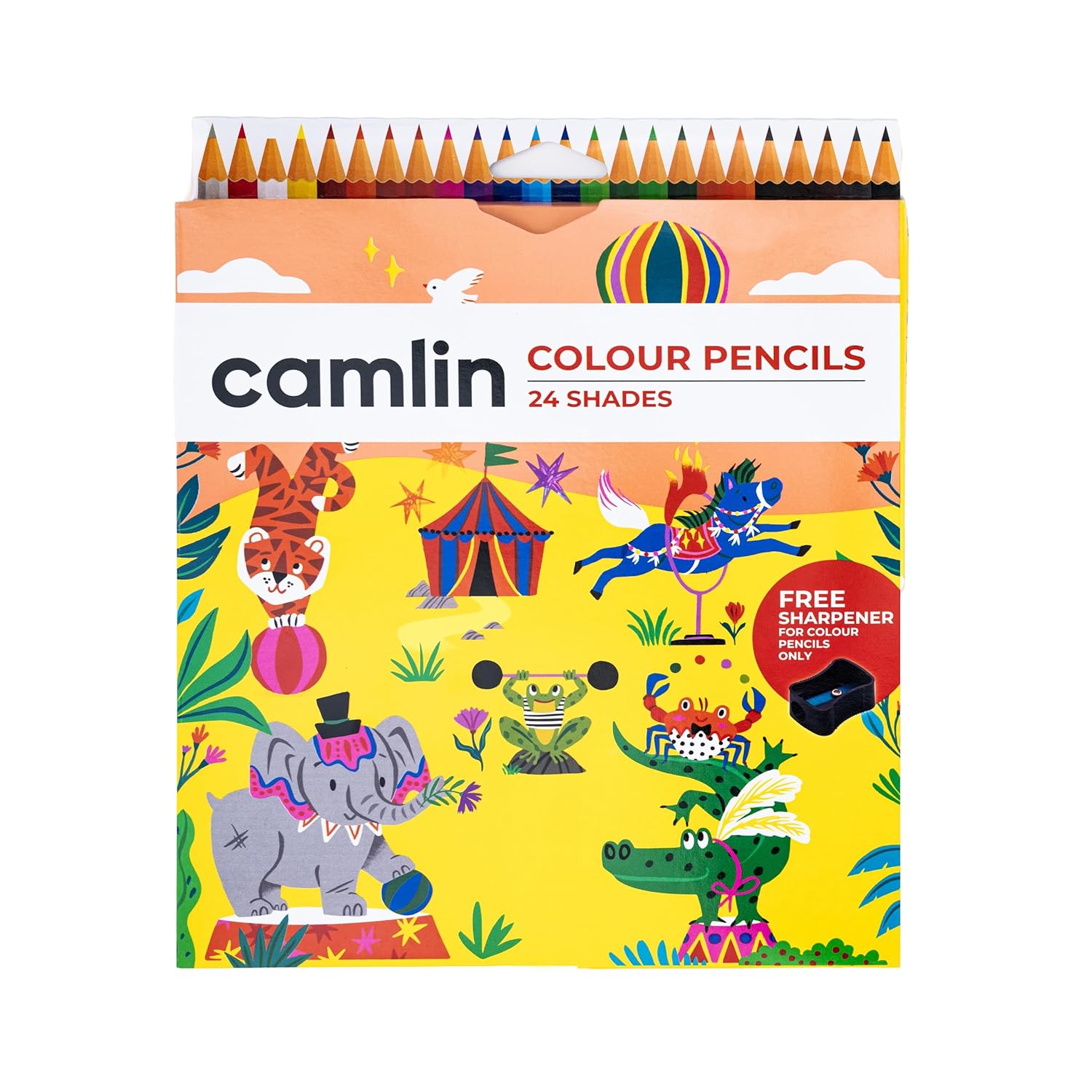 Camlin Kokuyo 24 Pencil Colors