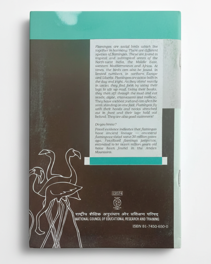 Flamingo- English Core For Class 12