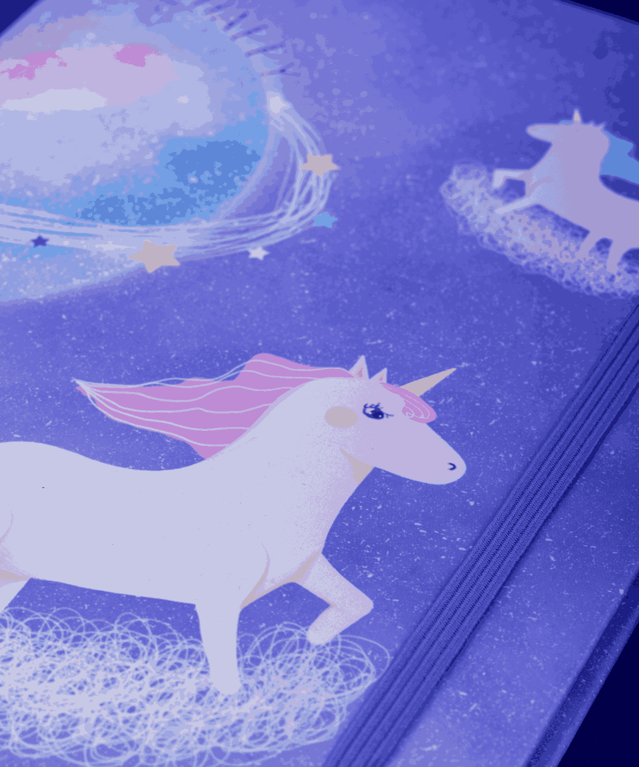 Unicorn Dreams Diary