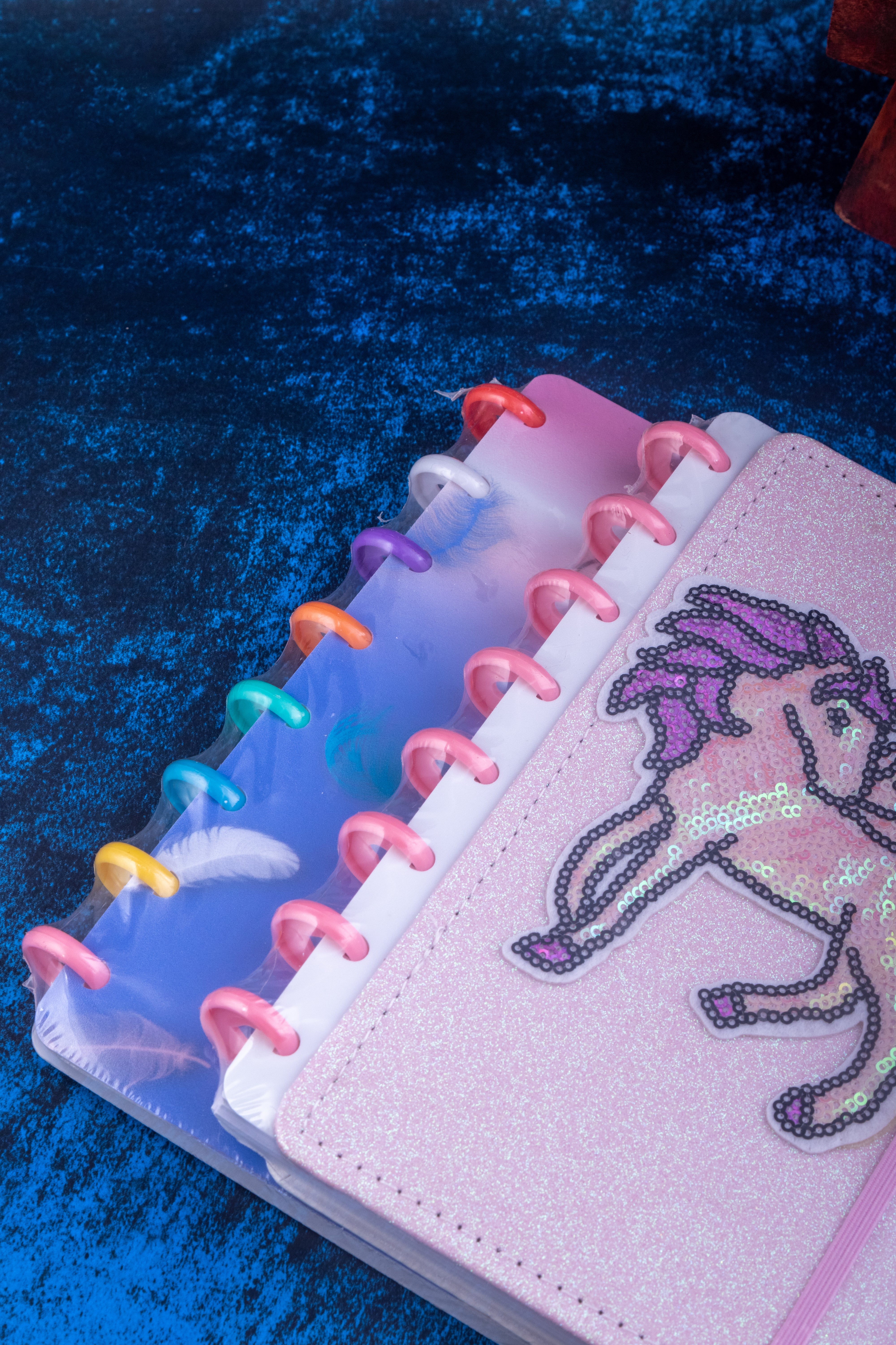 Colorful Feathers and Unicorn Spiral Binder Diary