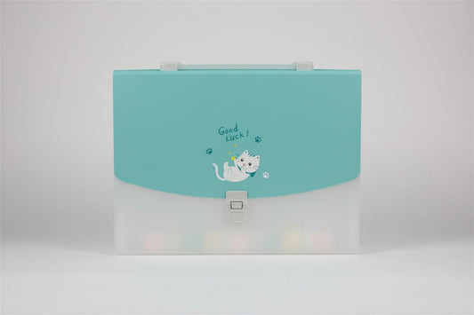 Cute Cat Design Document Storage Box with Lock